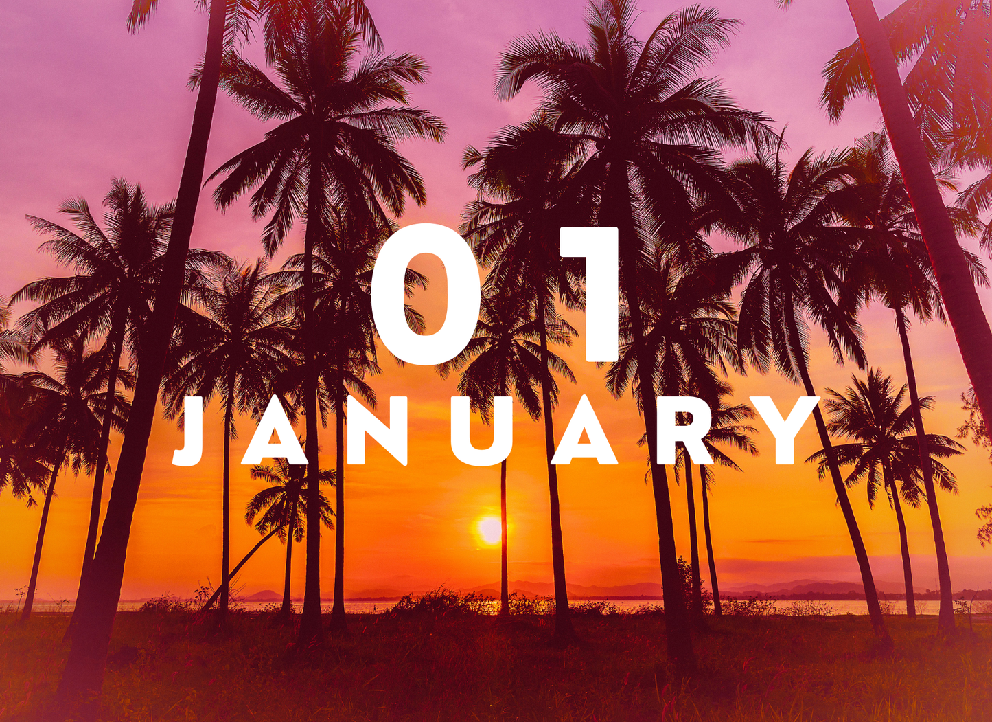 Palm trees silhouettes against a vibrant sunset with '01 January' text overlay.
