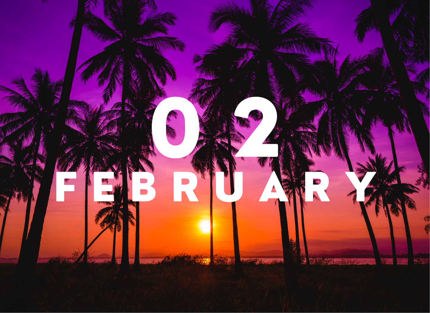Palm trees with a sunset and '02 February' text on a purple and orange gradient background